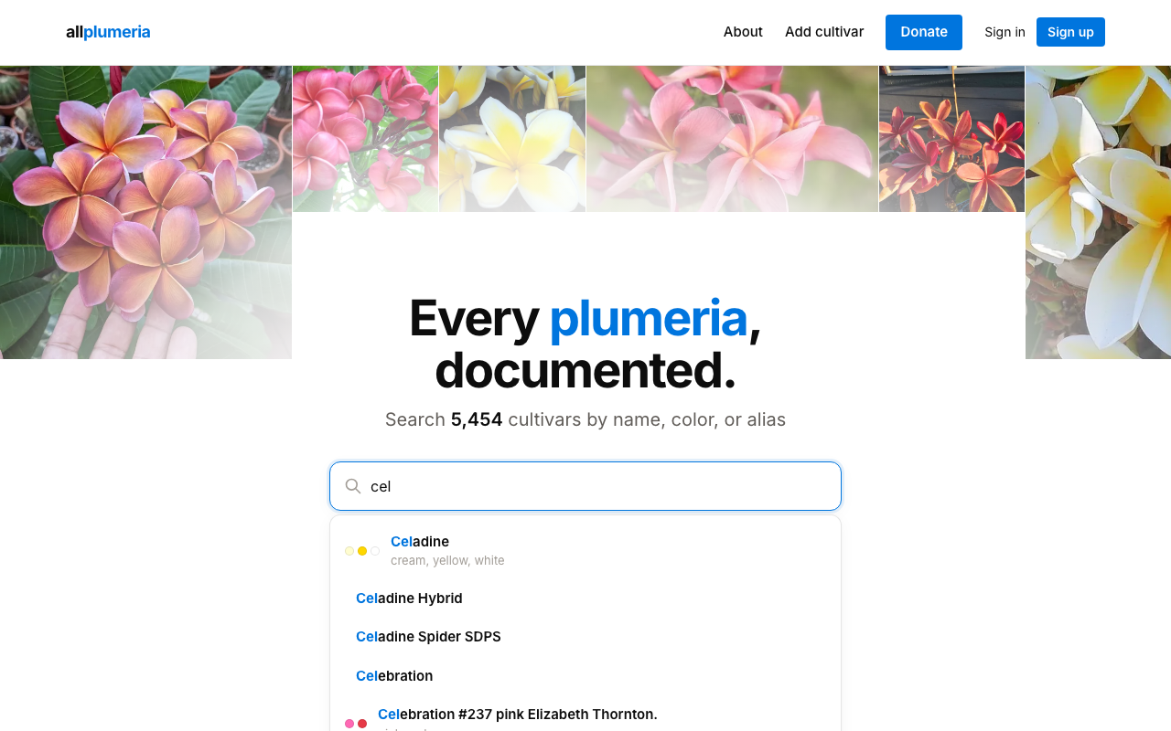 Homepage search box with autocomplete suggestions