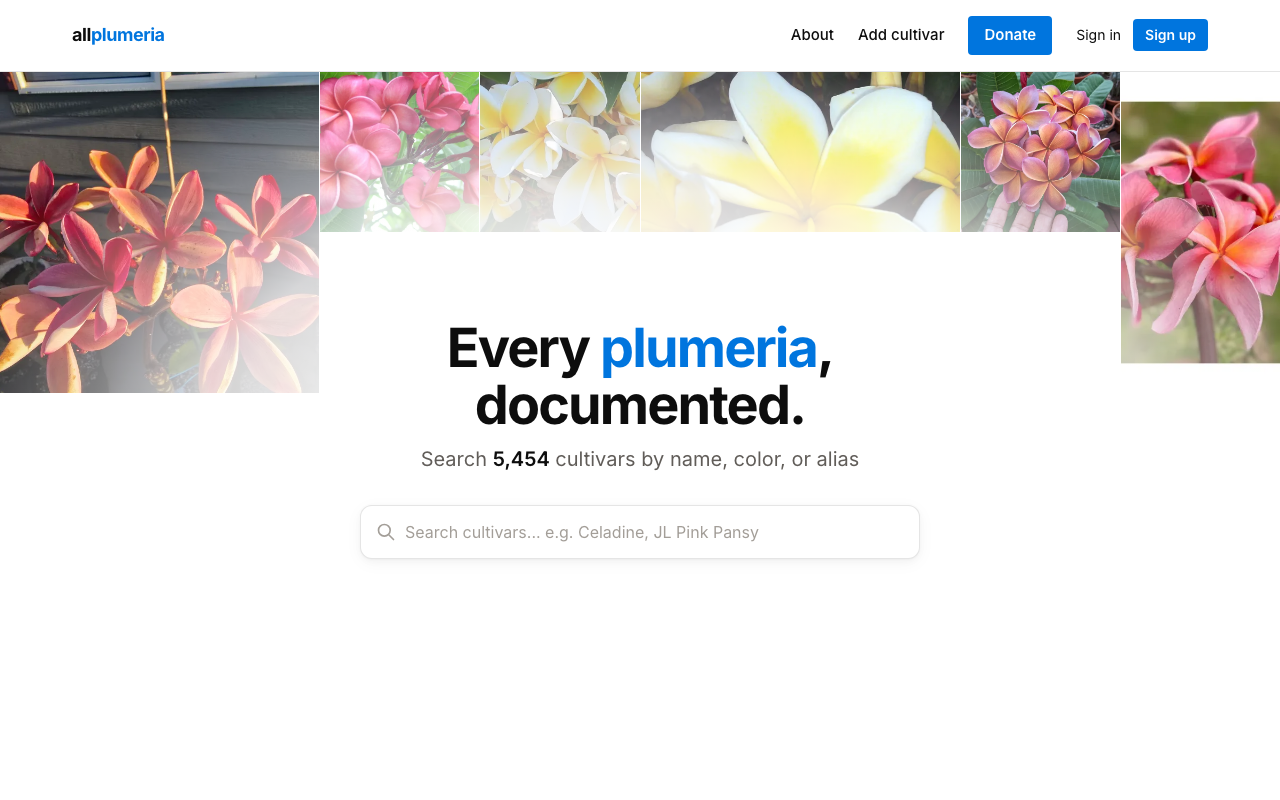 AllPlumeria homepage with hero search and color grid